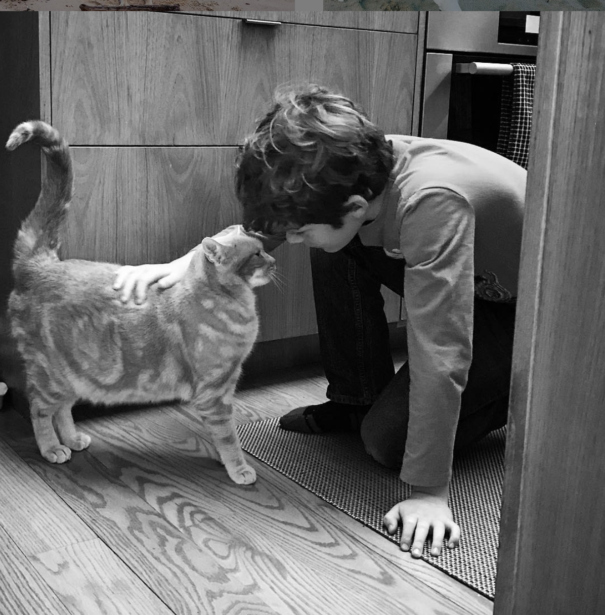 Abbey's Happy Hounds