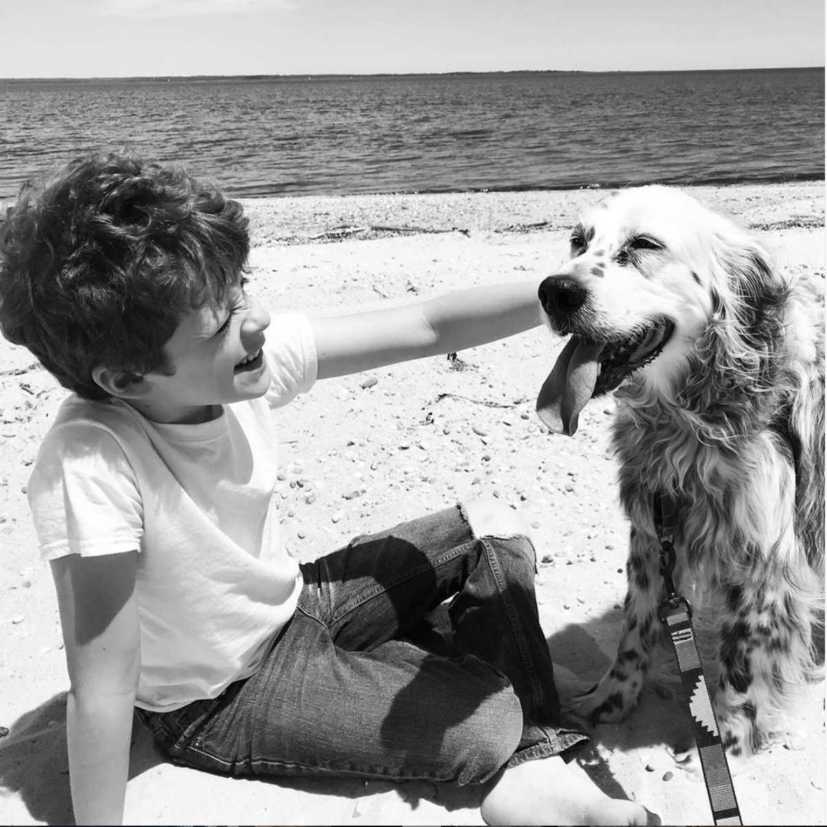 Abbey's Happy Hounds