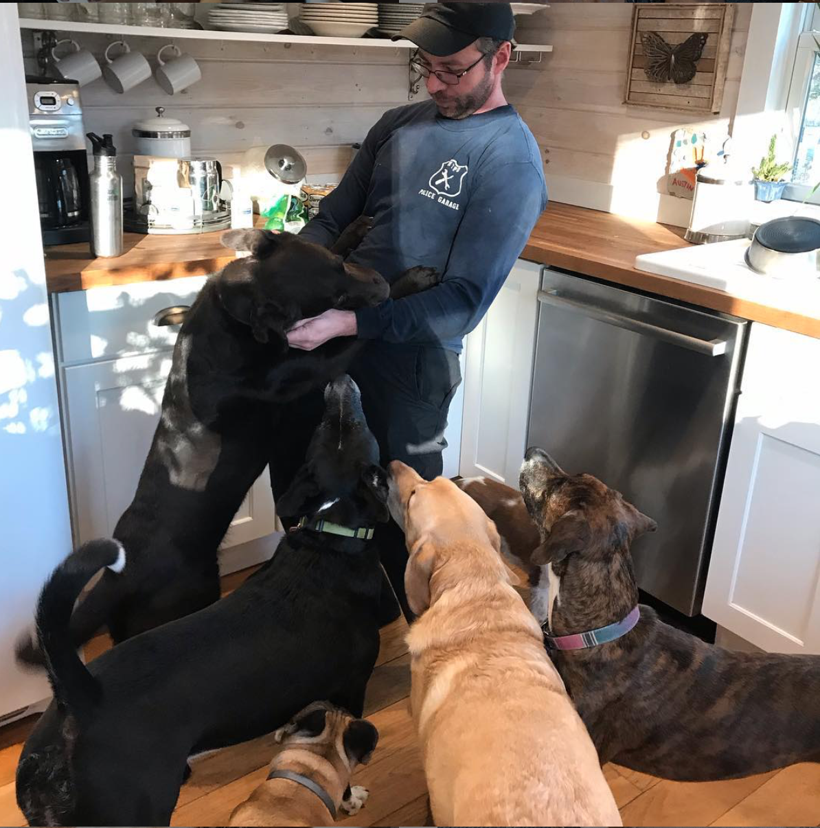 Abbey's Happy Hounds