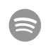 Grey Spotify Icon