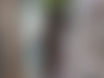 Tupã inicia o ano com expressiva redução nos casos de arboviroses