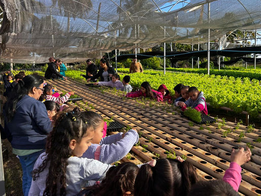 Oficina leva alunos do 1º ano a vivência prática sobre agricultura e alimentação saudável