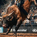 5º Encontro de Amigos em Rinópolis promete quatro dias de emoção, tradição e confraternização