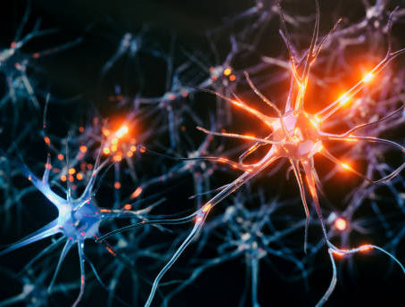BTK Inhibition Shows Reduction in Gray Matter Lesions Caused by MS
