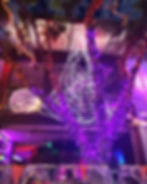 Purple Led mini lights on Micky's Tree