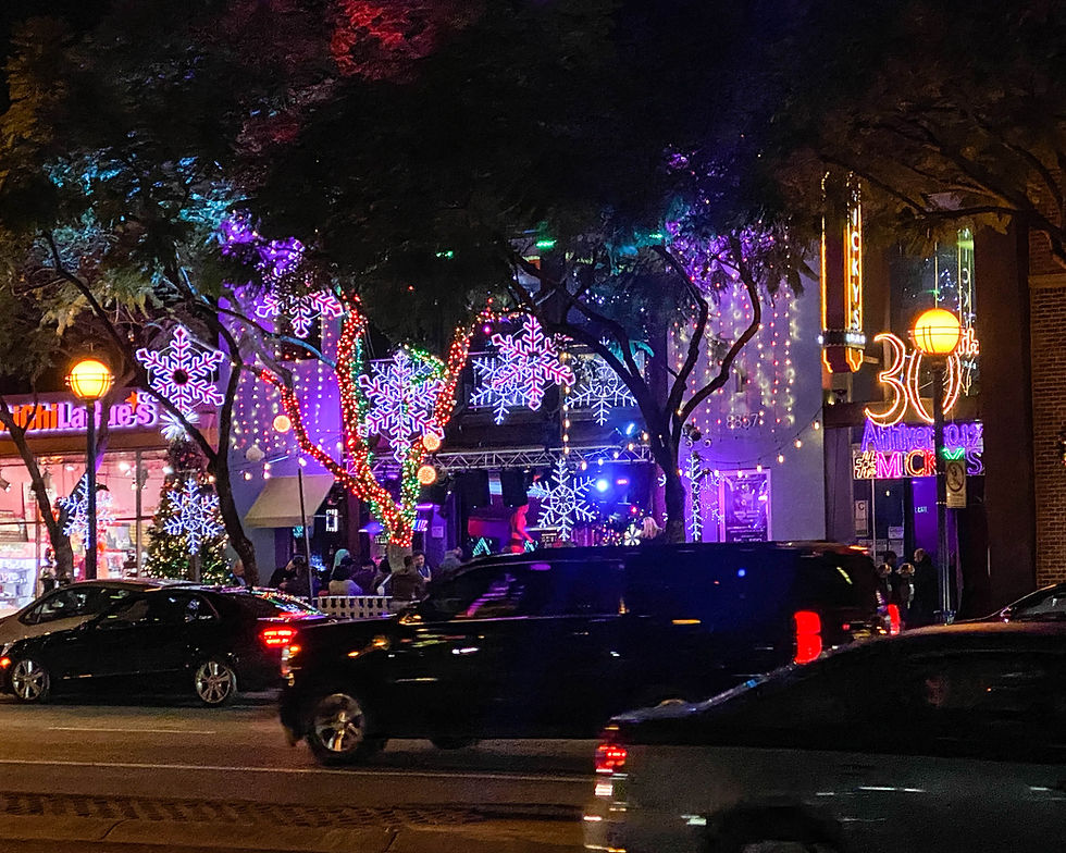 LIGHTED SNOWFLAKES - TREE WRAPS - CURTAI