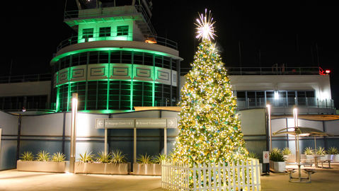 Large Animated LED Outdoor Christmas Tree