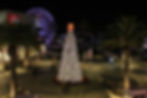 giant commercial-grade pre-lit tree outdoor