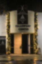 Garland with Ornaments and Light