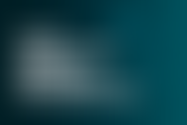 Va-IRI™ — Vaccination Immune Readiness Index