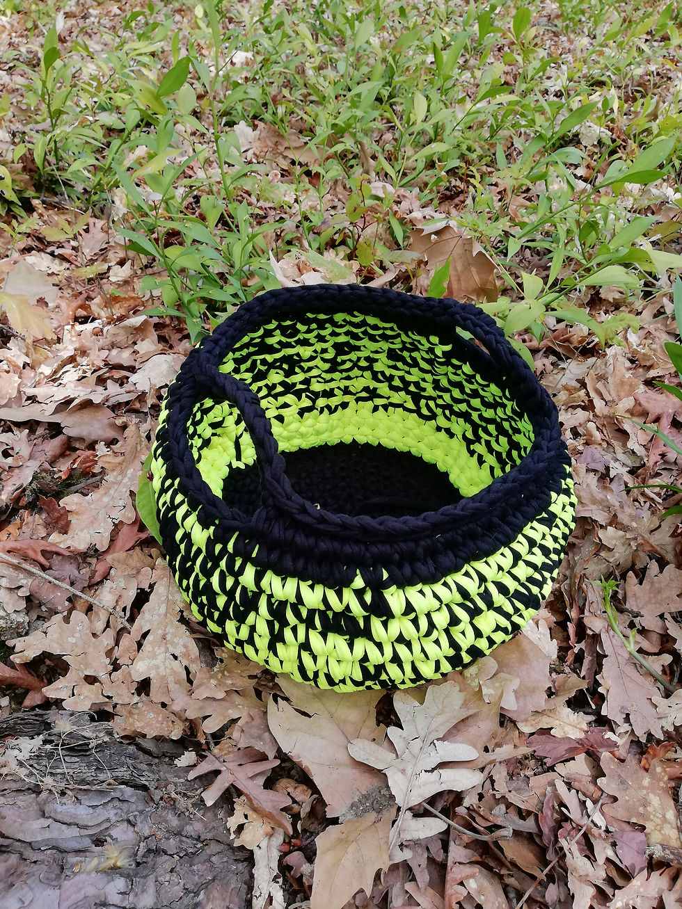 Miniatura: Cesto