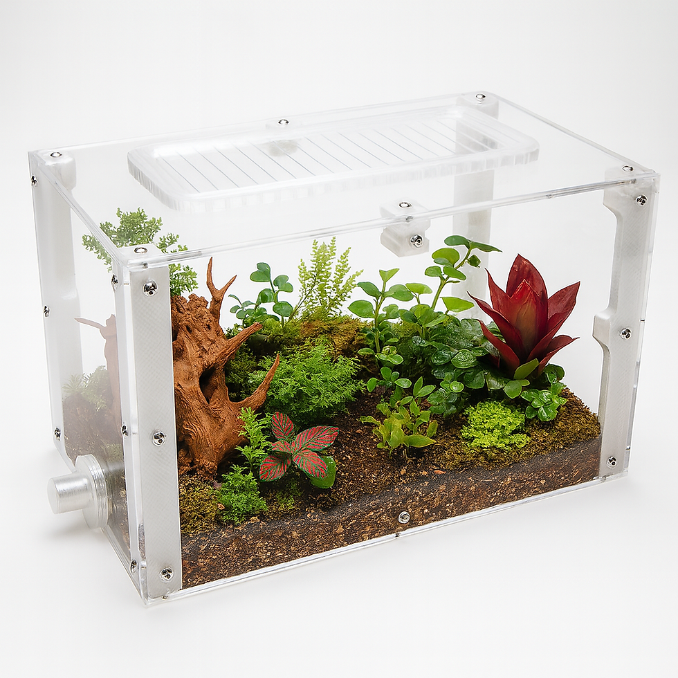 How to Set Up an Outworld for Your Ant Colony