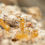 Thumbnail: Myrmecocystus navojo