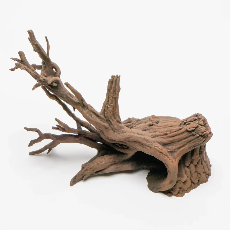 Thumbnail: Trees & Roots