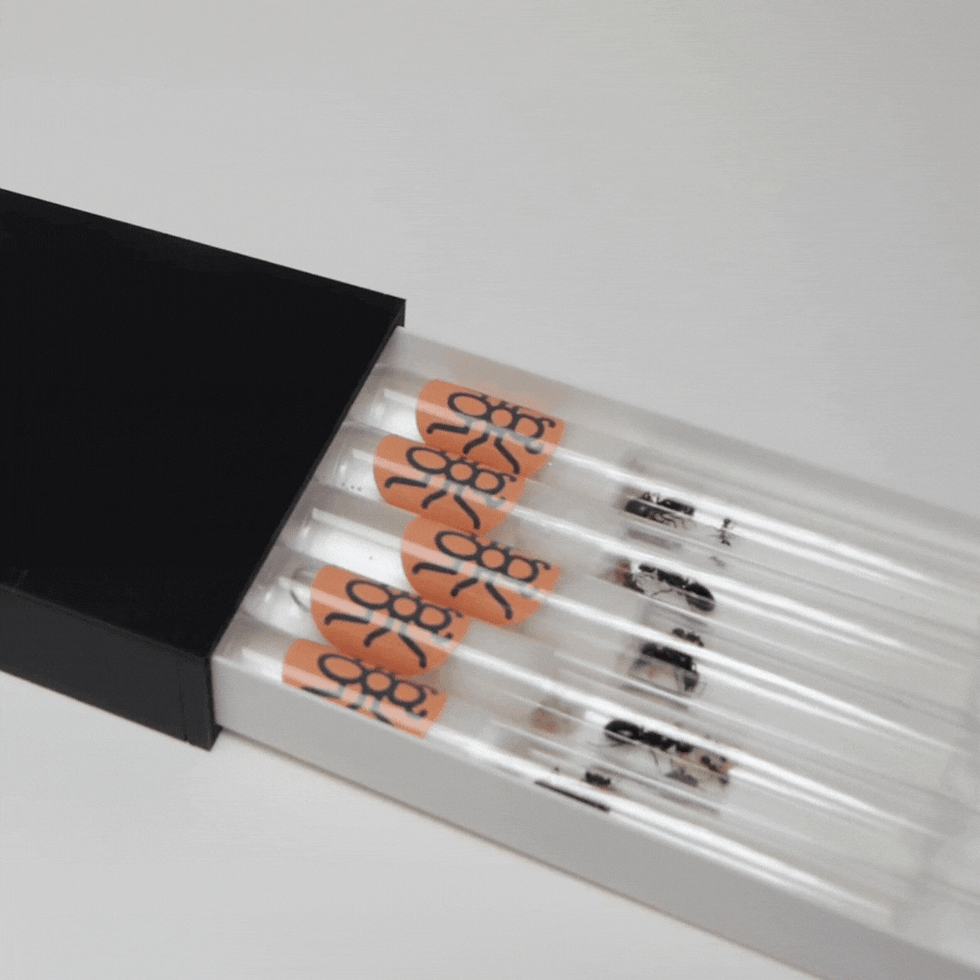 Thumbnail: The Queen Drawer V2 - Store Your Ants Neatly!