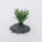 Thumbnail: Plants and Trees