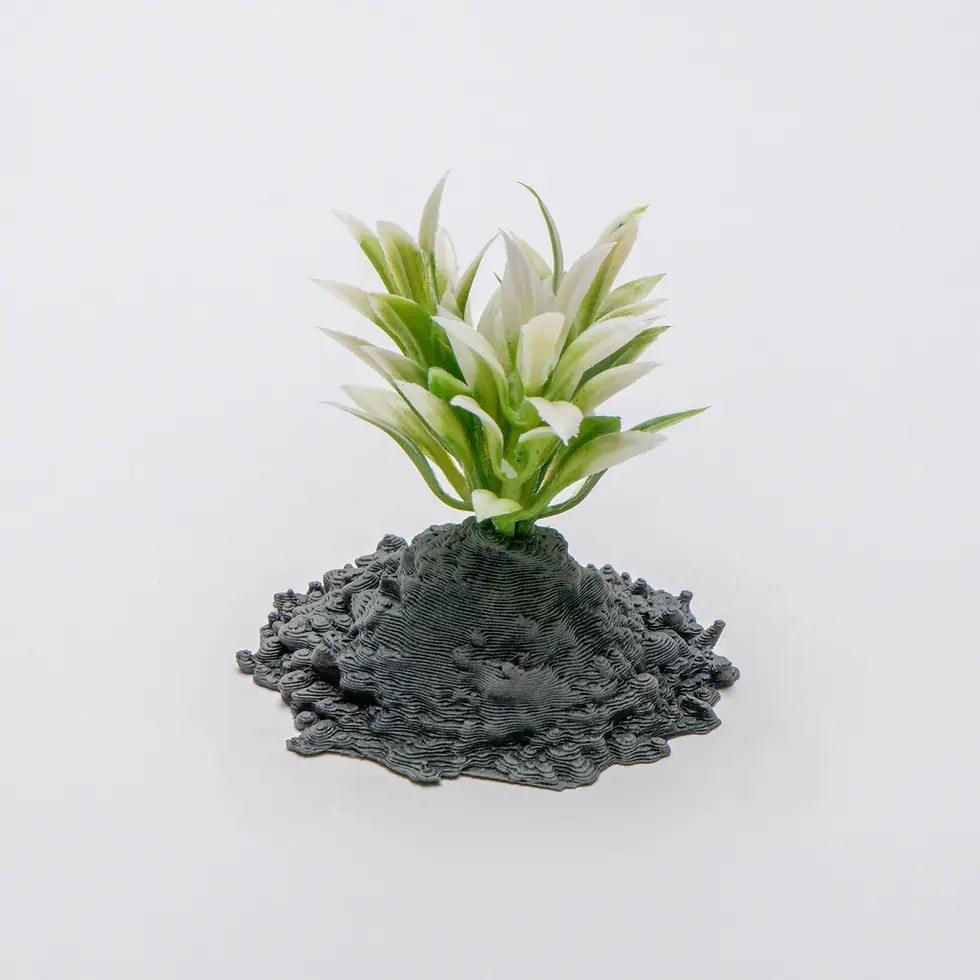 Thumbnail: Plants and Trees