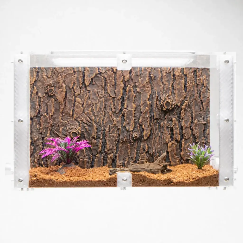 Large Outworld Wooden Decoration Set