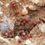 Thumbnail: Pogonomyrmex milticida