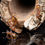 Thumbnail: Temnothorax nylanderi