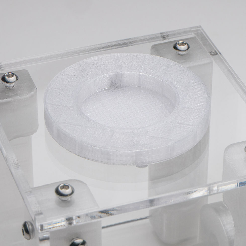 Thumbnail: New Small Outworld – Beta Edition