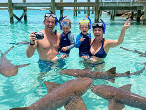 family swimming with nurse sharks at Compass Cay in Exuma