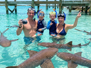family swimming with nurse sharks at Compass Cay in Exuma