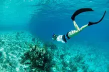 woman snorkeling around a coral reef in the caribbean sea