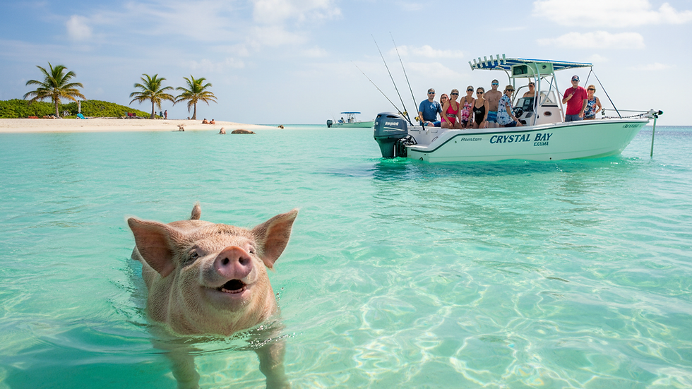 Explore the Best Exuma Excursions: Your Guide to Unforgettable Adventures