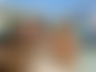 family and friends feeding pigs on the beach at pigs beach  in Exuma