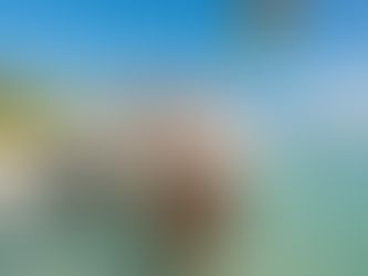 hand feeding apple to pig at Pig Beach in Exuma