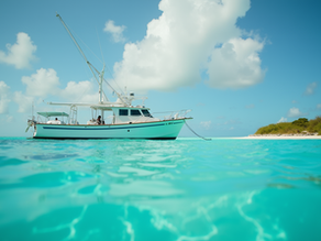 The Best Exuma Fishing Trips: Discover Top Charters and Pristine Waters