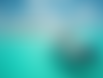 Why Choose Exuma Fishing Charters? Exploring Exuma Fishing Opportunities