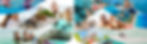 main-vibrant-boat-banner-max.jpg