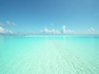 Bonefishing Tips in Exuma: Your Guide to an Unforgettable Adventure