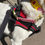 Thumbnail: Dog Collar Safety Dual Clip