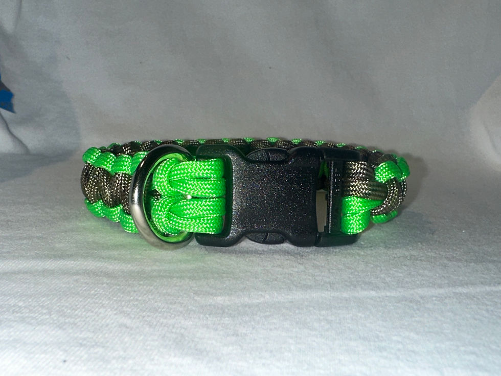 Thumbnail: Cobra Collar