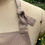 Thumbnail: Kitchen apron in taupe canvas with lawn trim.