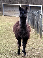 20200309_172008_edited.jpg