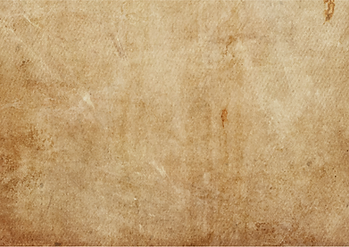 Sans titre (8).png