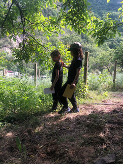 IMG-20230620-WA0003_Edited