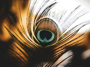 Ancient manifestation secret!