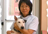 吉田春美