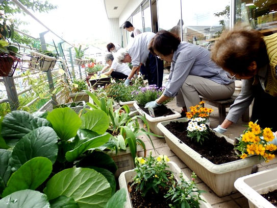 植物を植える