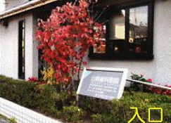 山根歯科医院入り口