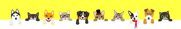 犬猫イラスト