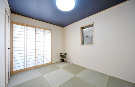 樹脂畳(カラー)