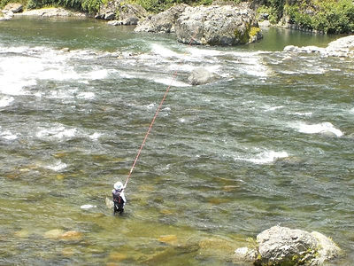 鮎釣り