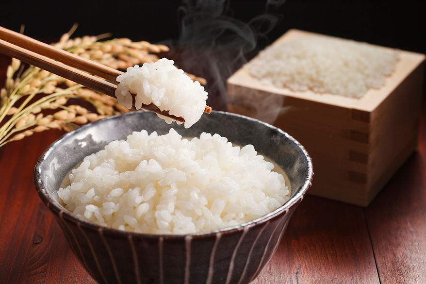 美味しいごはん