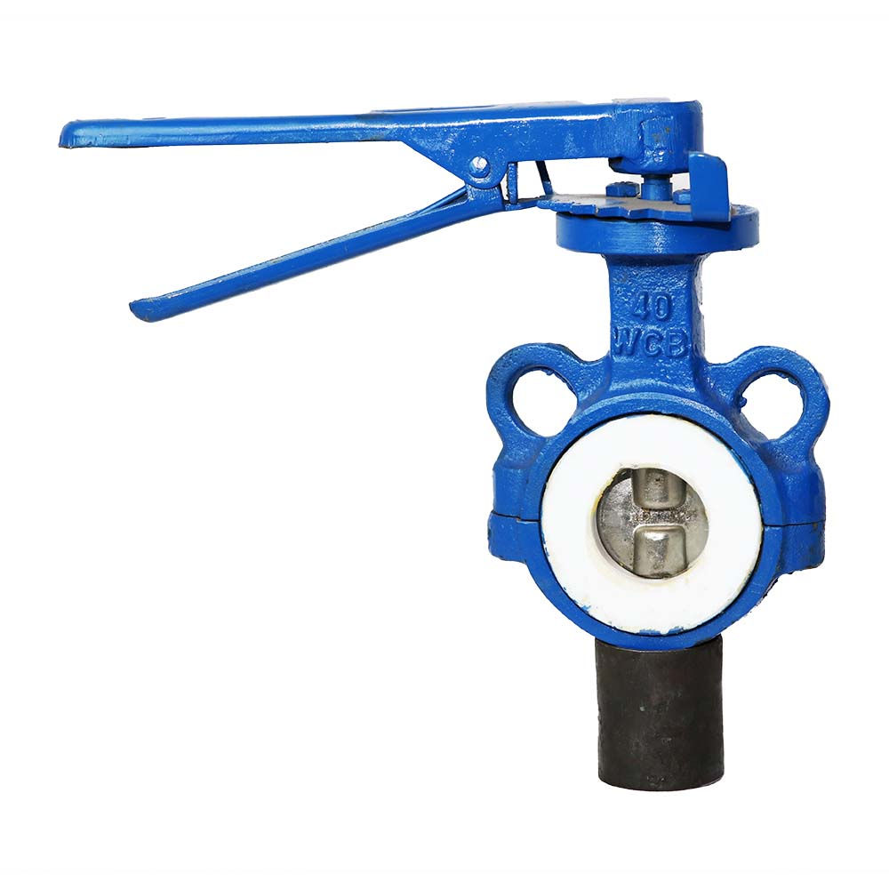 C.S P.T.F.E Line Butterfly Valve